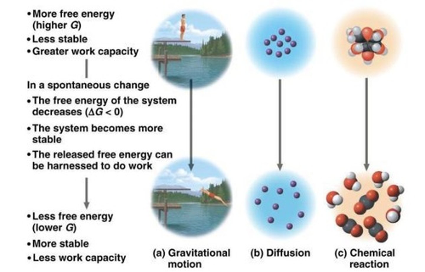 <p>The energy of the universe is constant. Energy can be transferred and transformed, but it cannot be created or destroyed. Known as the principle conservation of energy.</p>