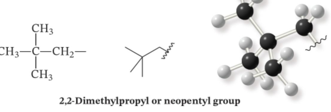 neopentyl: butyl plus an extra carbon