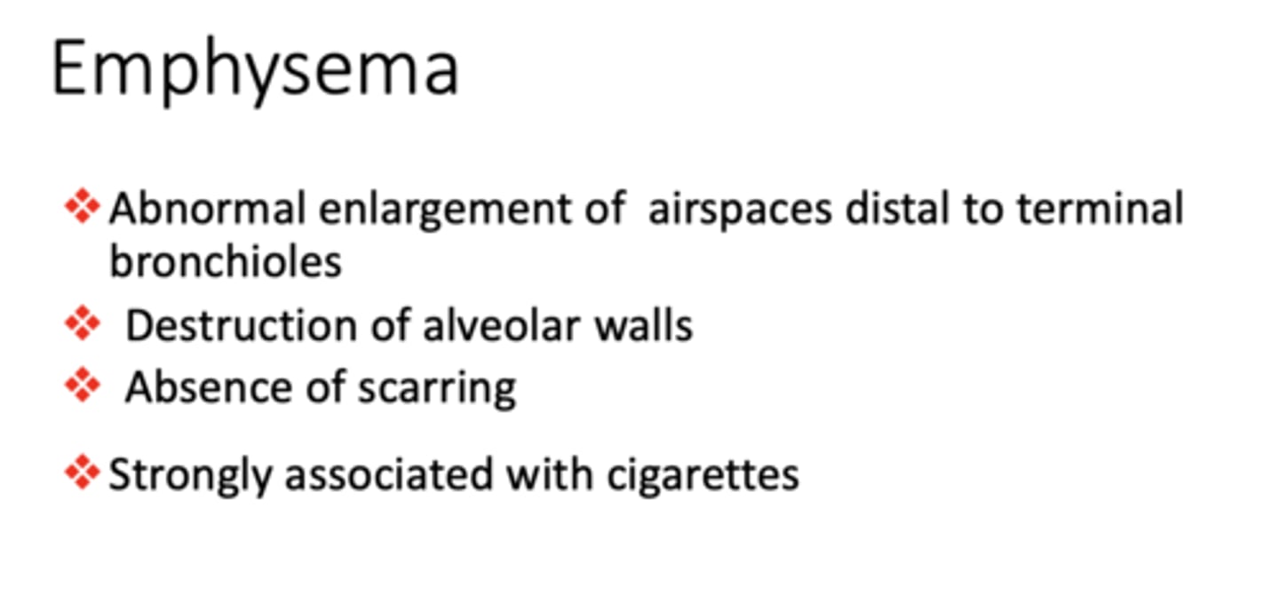 <p>Emphysema</p>