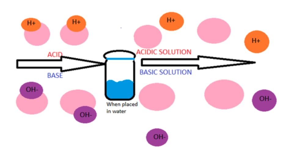 <p>ACIDS</p><p>Release H+ ions when dissolved in water</p><p>Proton donors</p><p>Ex. HCl 🡪 H+ + Cl-</p><p>BASES</p><p>Release OH- ions when dissolved in water</p><p>Proton acceptors</p><p>Ex. Ca(OH)2 🡪 Ca2+ + OH-</p>