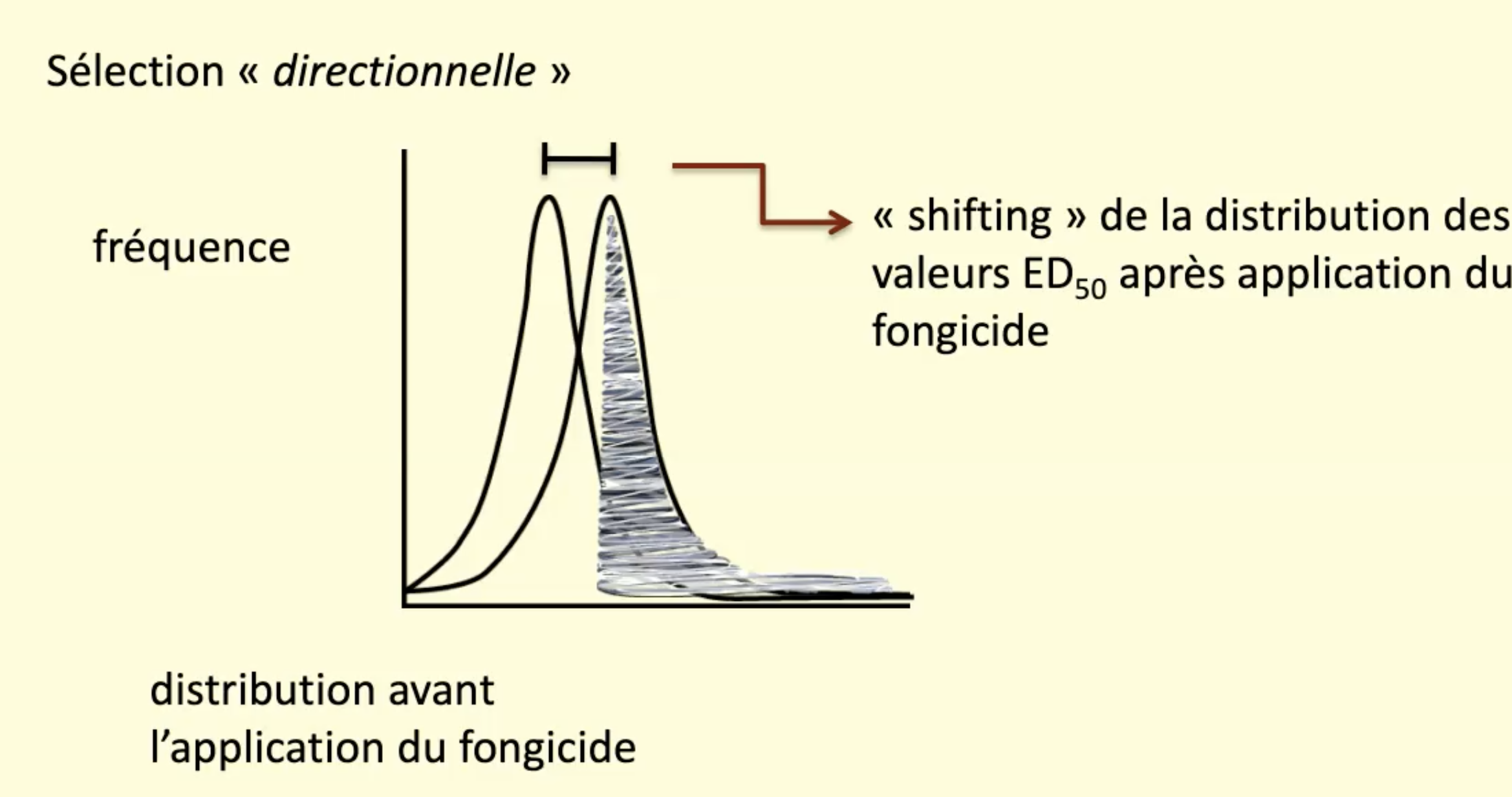 <p>a l’interieur d’une population normale, déplacement de la courbe, population resistance se déplace mais si on arrête de lui donner du fongicide, c’est réversible. </p>
