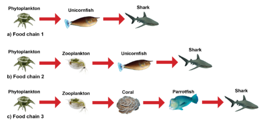<p><span style="background-color: transparent;"><span>The diagram below shows three food chains in a coral reef biome. Use it to draw a food web for the biome. (answer = hi)</span></span></p>
