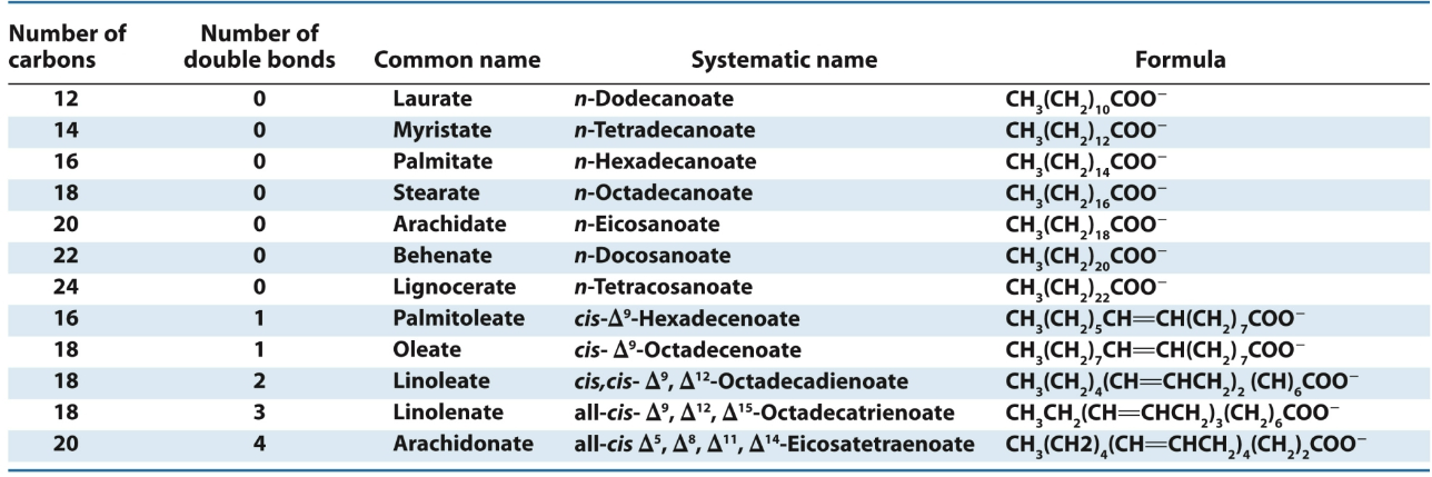 <p>A similar nomenclature of C# and unsaturation can be applied to several fatty acids</p><p>Ex→ Linoleate (essential fatty acid in the diet) is 18:2 <em>all cis</em>-Δ9 Δ12</p>