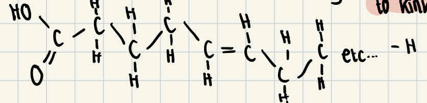<p>Unsaturated fatty acids do have double bonds between some of the carbon atoms, this causes the chain to kink and means that the fatty acid isn’t fully saturated with hydrogen.</p>