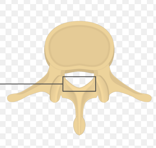 <p>What is the portion in the box called?</p>
