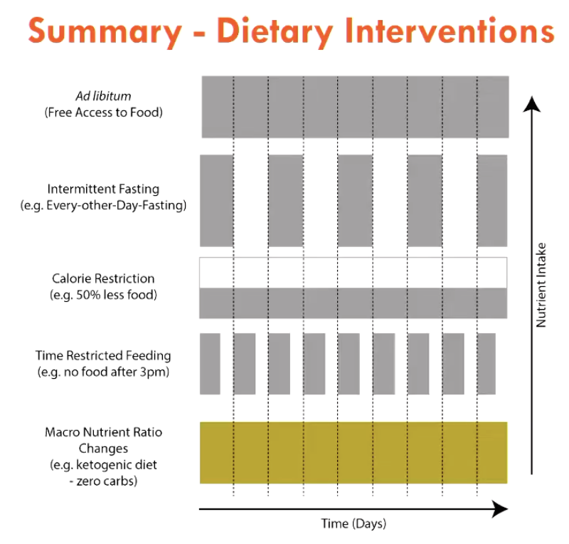 <ol><li><p><strong>Calorie Restriction</strong> (e.g. 50% less, VLED)</p></li><li><p><strong>Intermittent Fasting</strong> (e.g. Alternative Day Fasting)</p></li><li><p><strong>Time-Restricted Feeding</strong> (e.g. no food after 3pm)</p></li><li><p><strong>Macronutrient Ratio Change </strong>(carb/protein/fat - e.g. <em>ketogenic:</em> no carb diet)</p></li></ol><p></p>