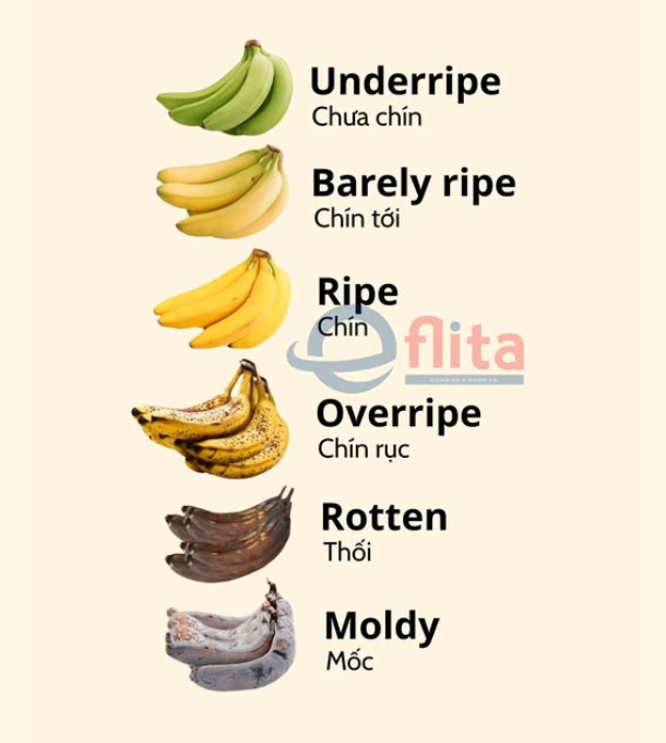 <p>underripe</p>