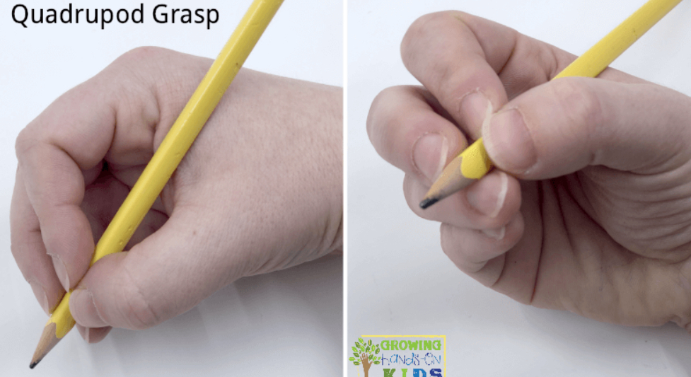 <p>Pencil Grip: <strong>Quadrupod (3-4 yrs)</strong></p>