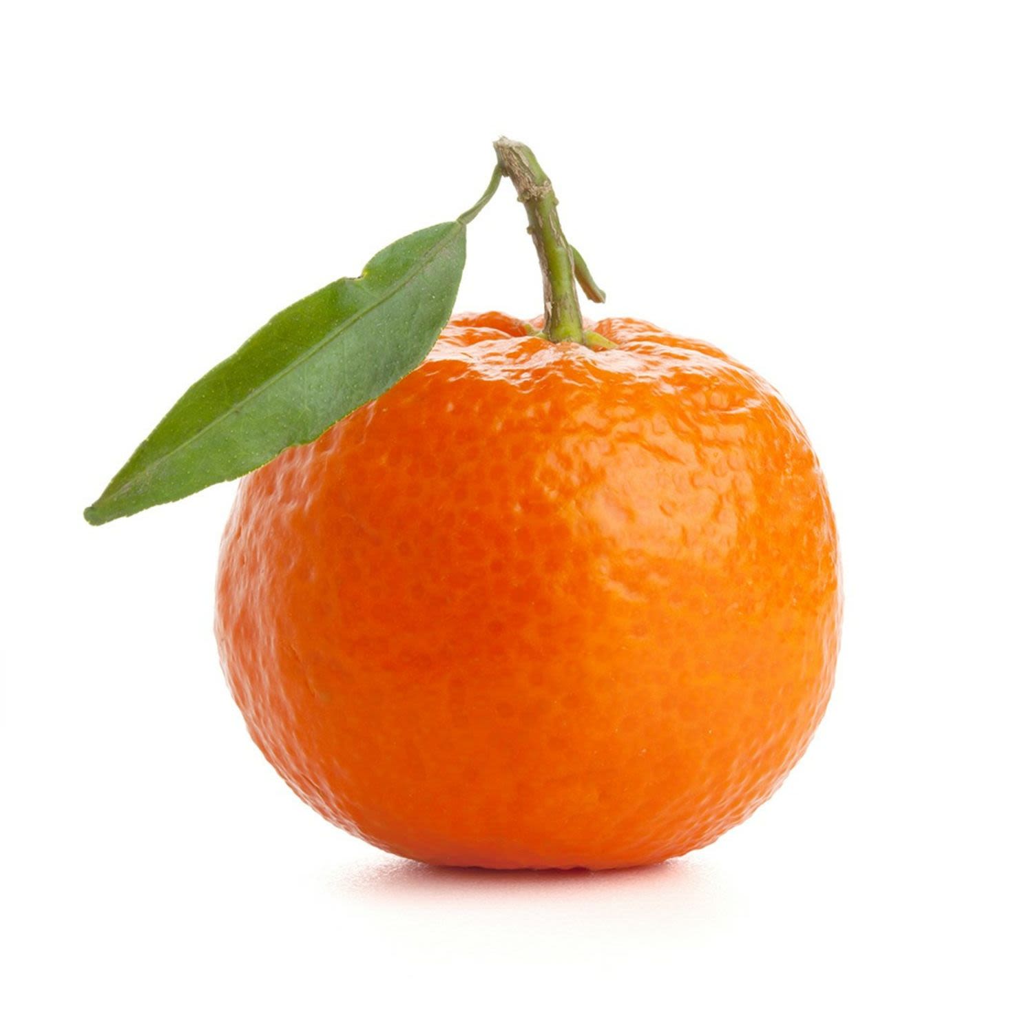 <p>Mandarins</p>
