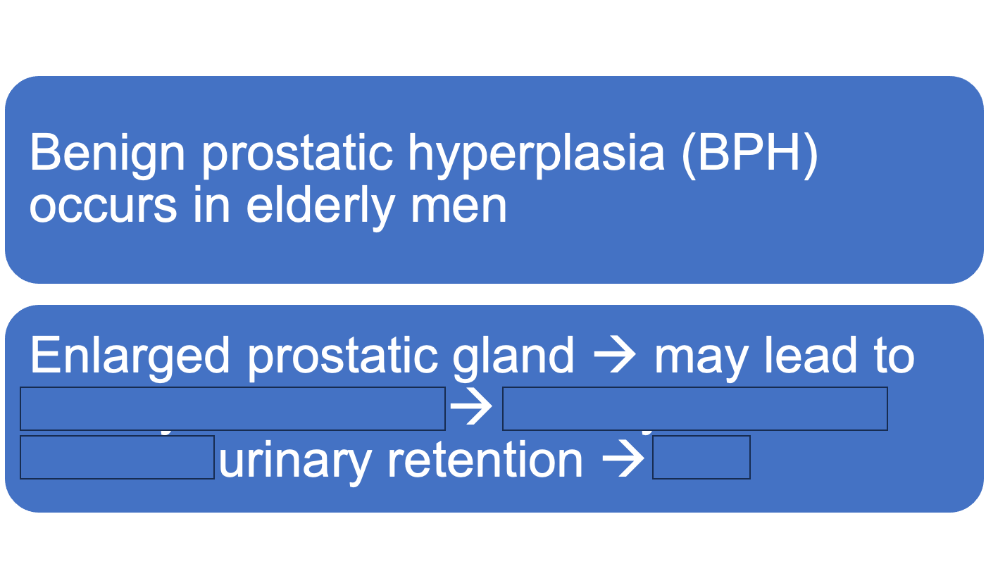 <p>how does an enlarged prostate lead to a UTI</p>