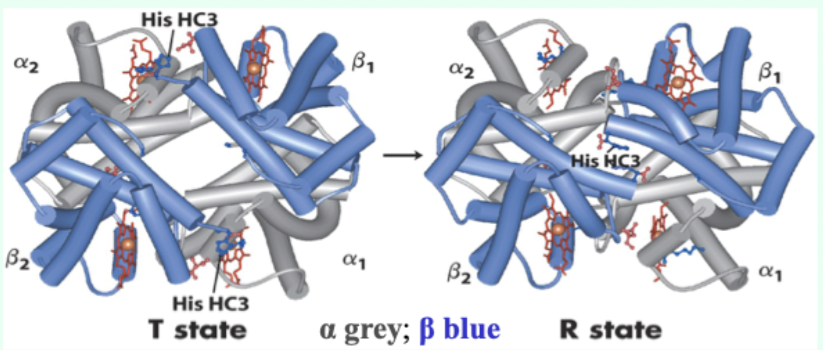 <p>Ion pair absent; pKa drops.</p>