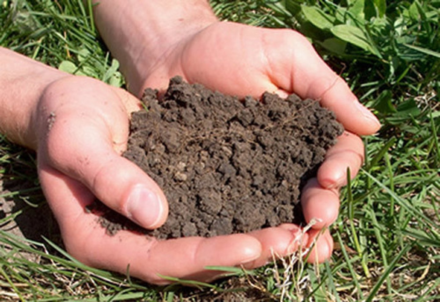 <p>Tǔ rǎng Soil</p>