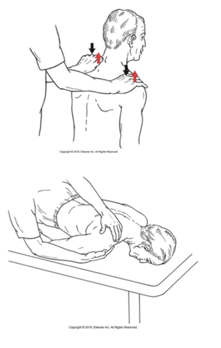 <p>What is being tested in the image?</p>