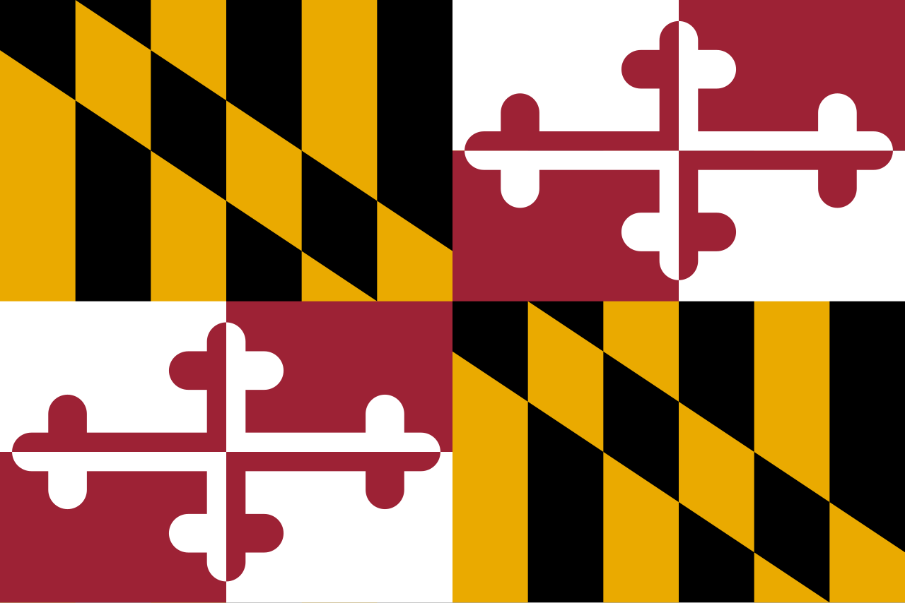 <p>Divided into two quarters, one with a yellow/black patterna dn the other a cross with a red/white pattern.</p>