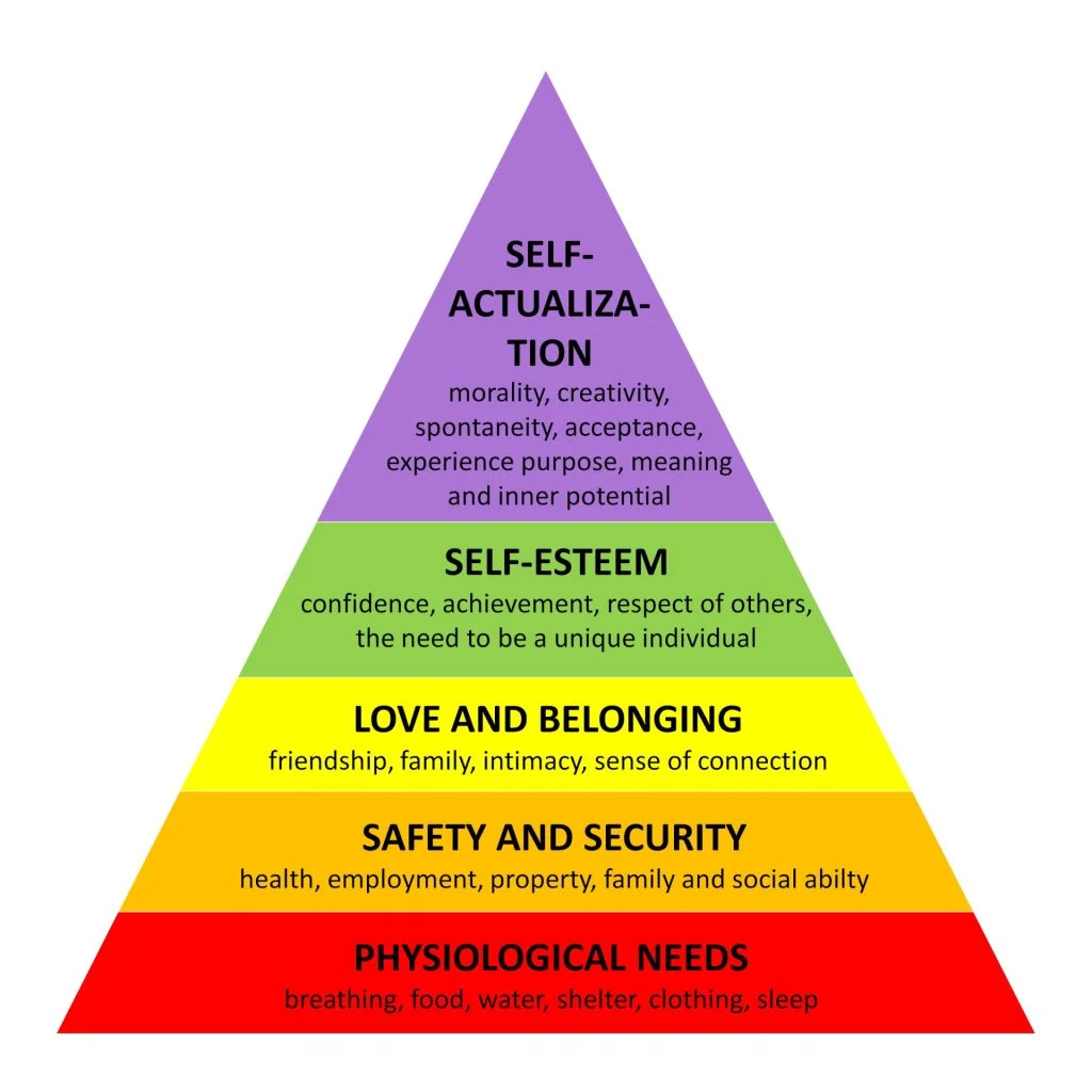 <p>biological and physiological needs, safety needs, belongingness and love needs, esteem needs, and self-actualization</p>