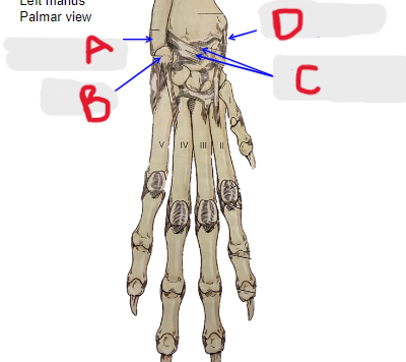 <p>What is C?</p>