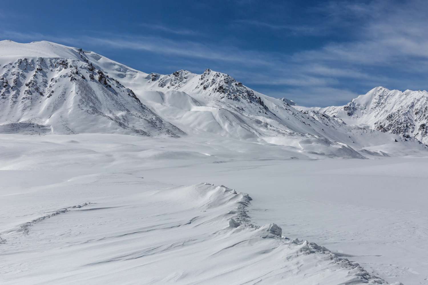<p>Tundra</p>