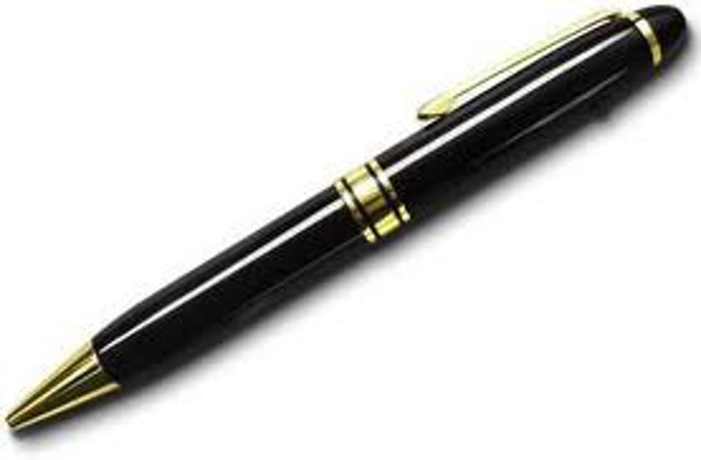 <p>the pen</p>