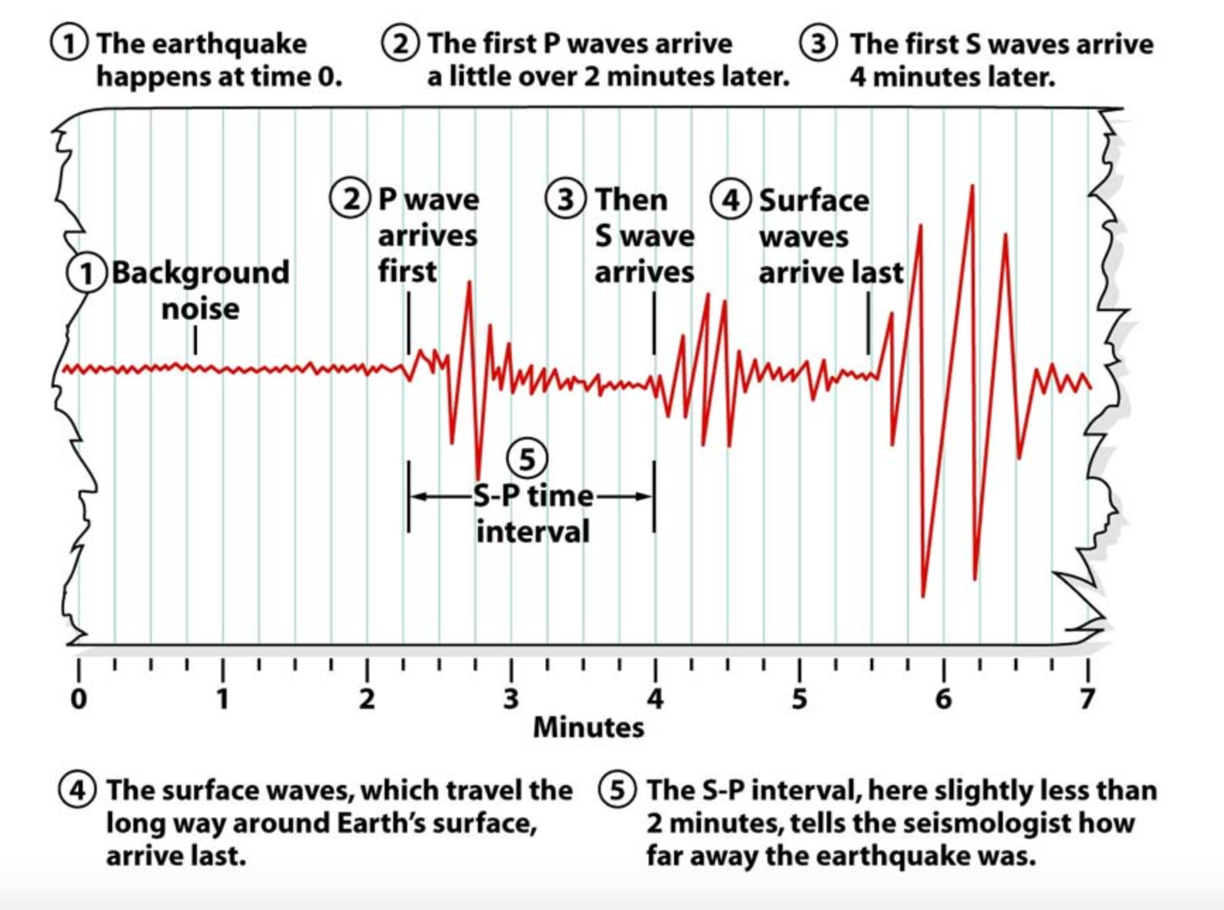 The record of an earthquake produced by a seismometer