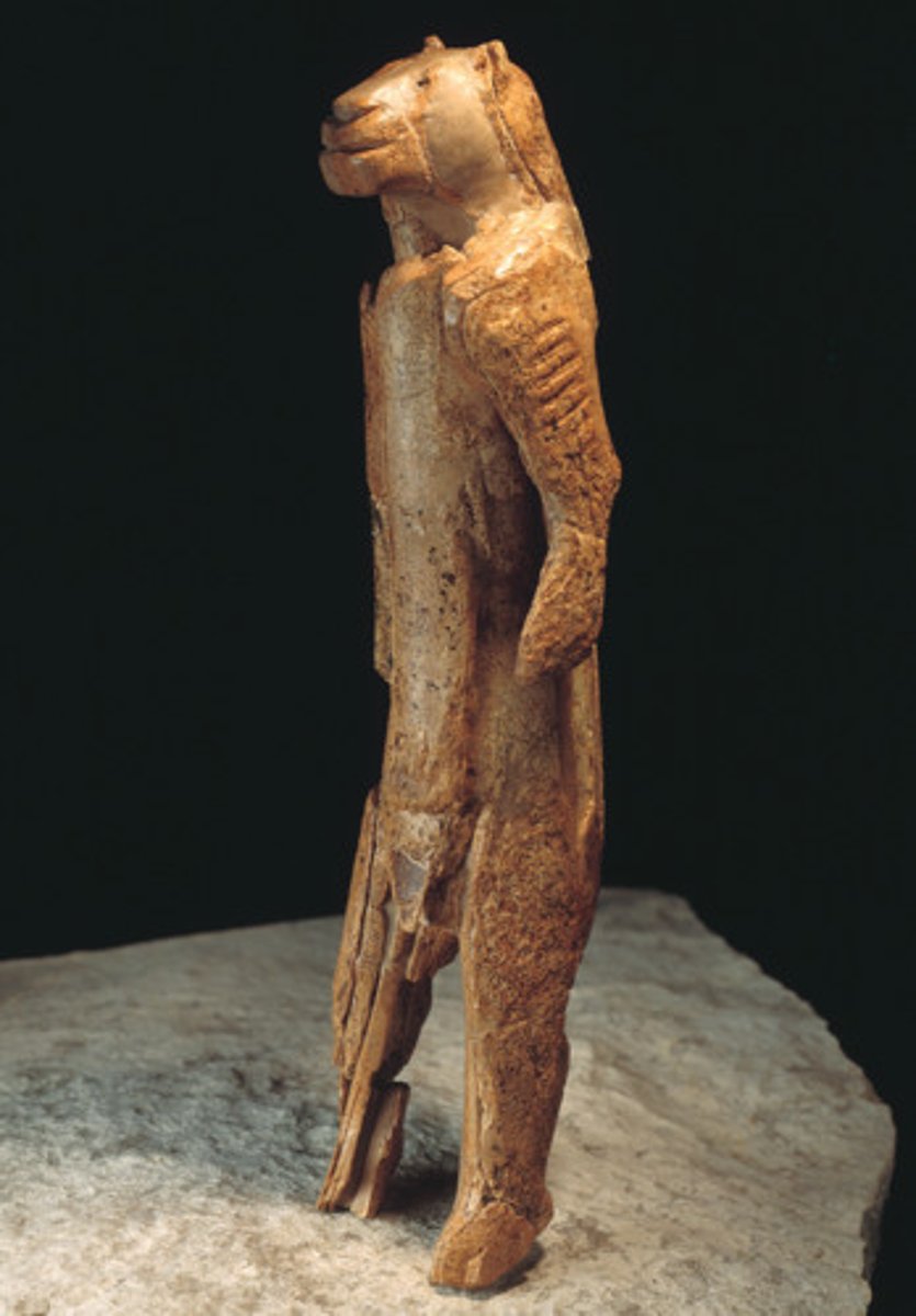 <p>Located in Germany, it is an Aurignacian figurine and is the oldest known animal-oriented figurine of the Aurignacians and of all of prehistory</p>