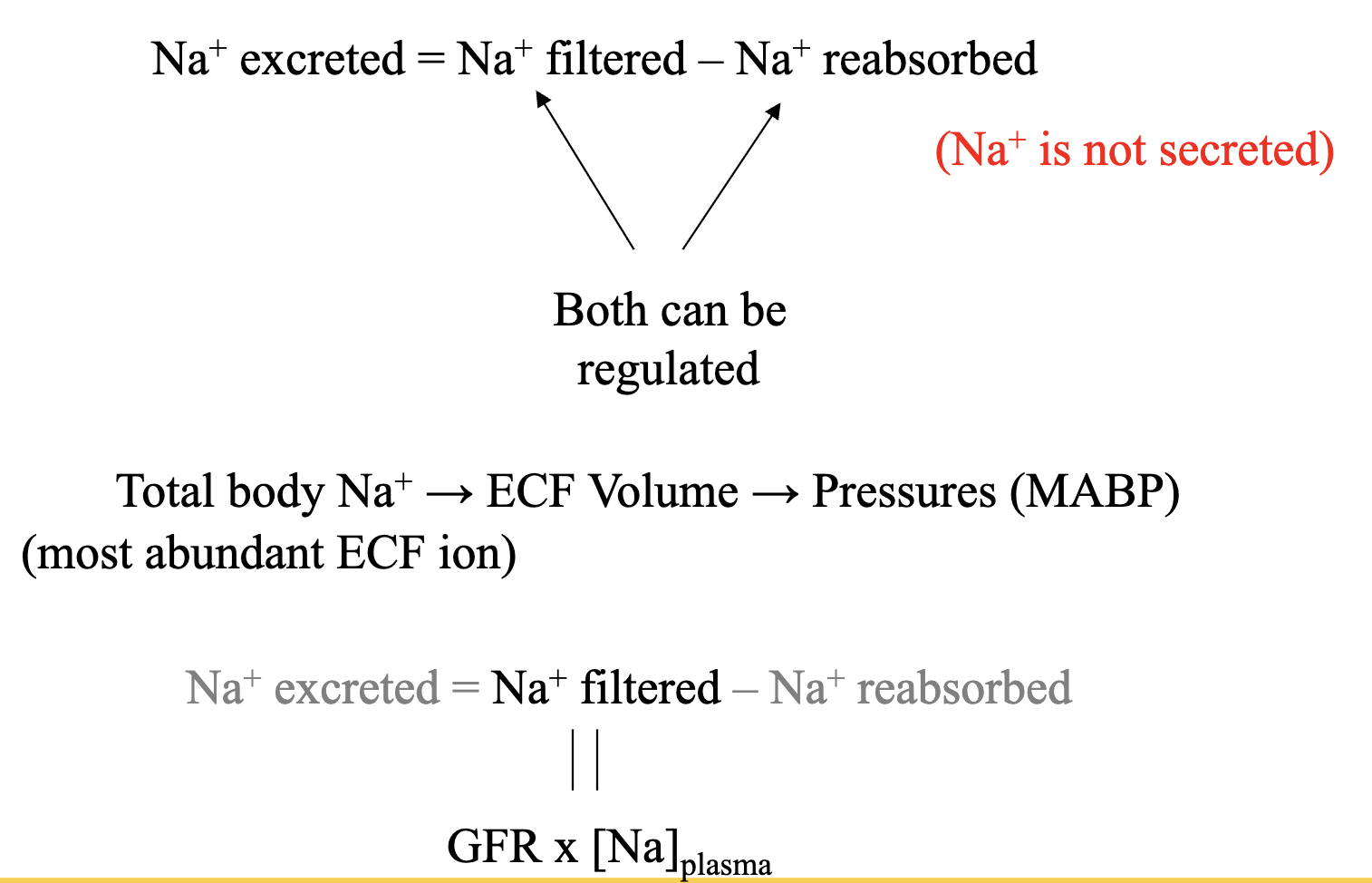 <p>Notes</p><ul><li><p>when plasma volume drops, a decrease in GFR reduces Na+ and H2O loss</p></li><li><p>regulation of sodium reabsorption</p><ul><li><p>renin/angiotensis/aldosterone system</p></li></ul></li></ul><p></p>