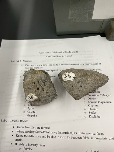 <ul><li><p>Vesicular</p></li><li><p>Felsic, light grey</p></li><li><p>Extrusive</p></li><li><p>Fine grained</p></li></ul>