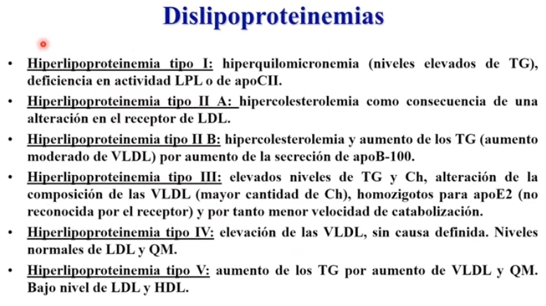 <ul><li><p>Ch = colesterol</p></li></ul>