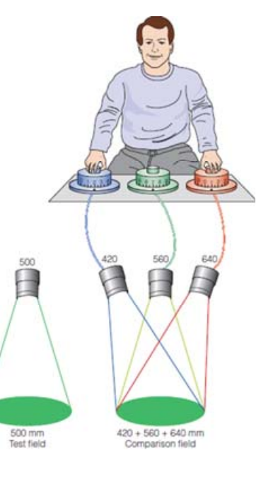 <p>Trichromatic Theory (became known as the Young-Helmholtz Theory)</p>