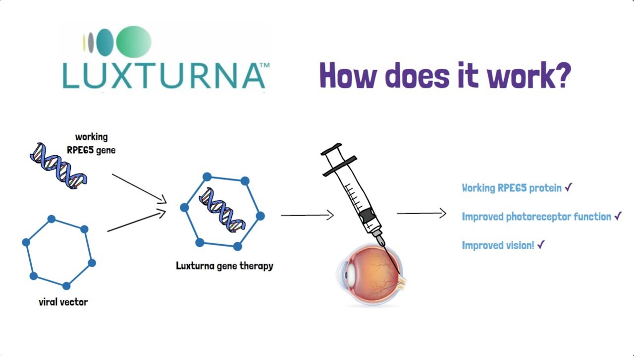 <p><strong>Luxturna</strong>, used to treat <strong>Leber congenital amaurosis  </strong>associated with RPE65 mutation.</p>