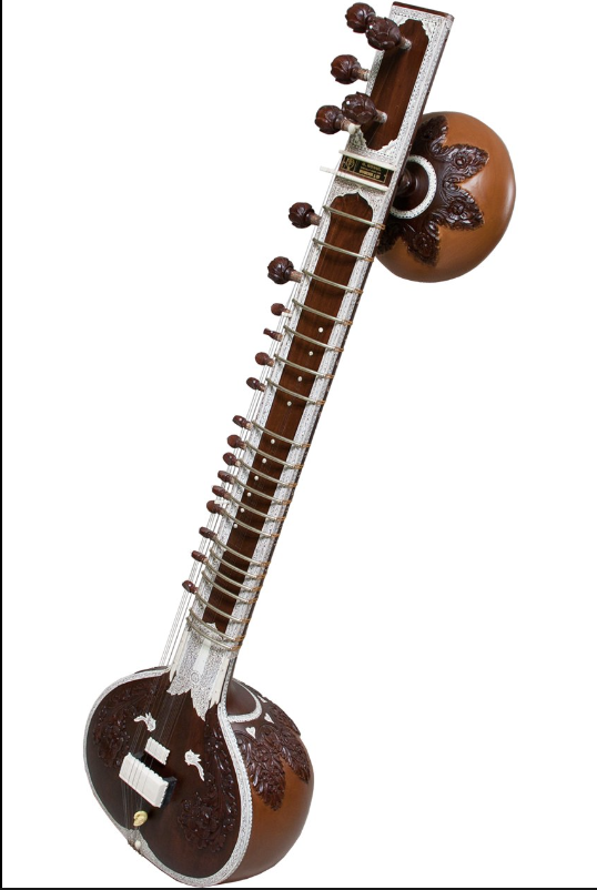 <p>what is this instrument </p>