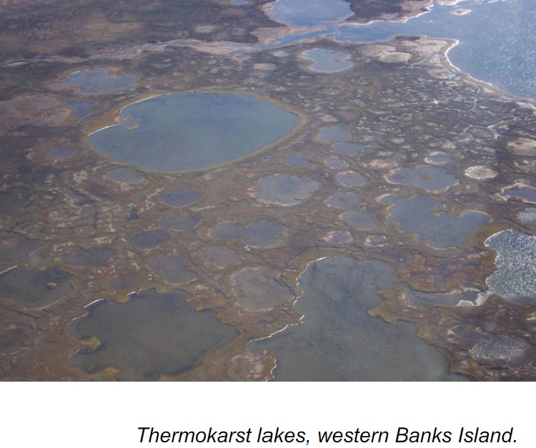 * circular, oval or square lakes from by thermokarst melting