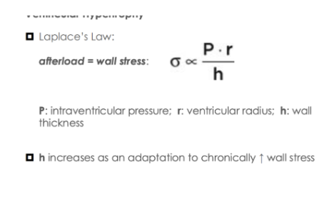 <p>afterload = wall stress&nbsp;</p>
