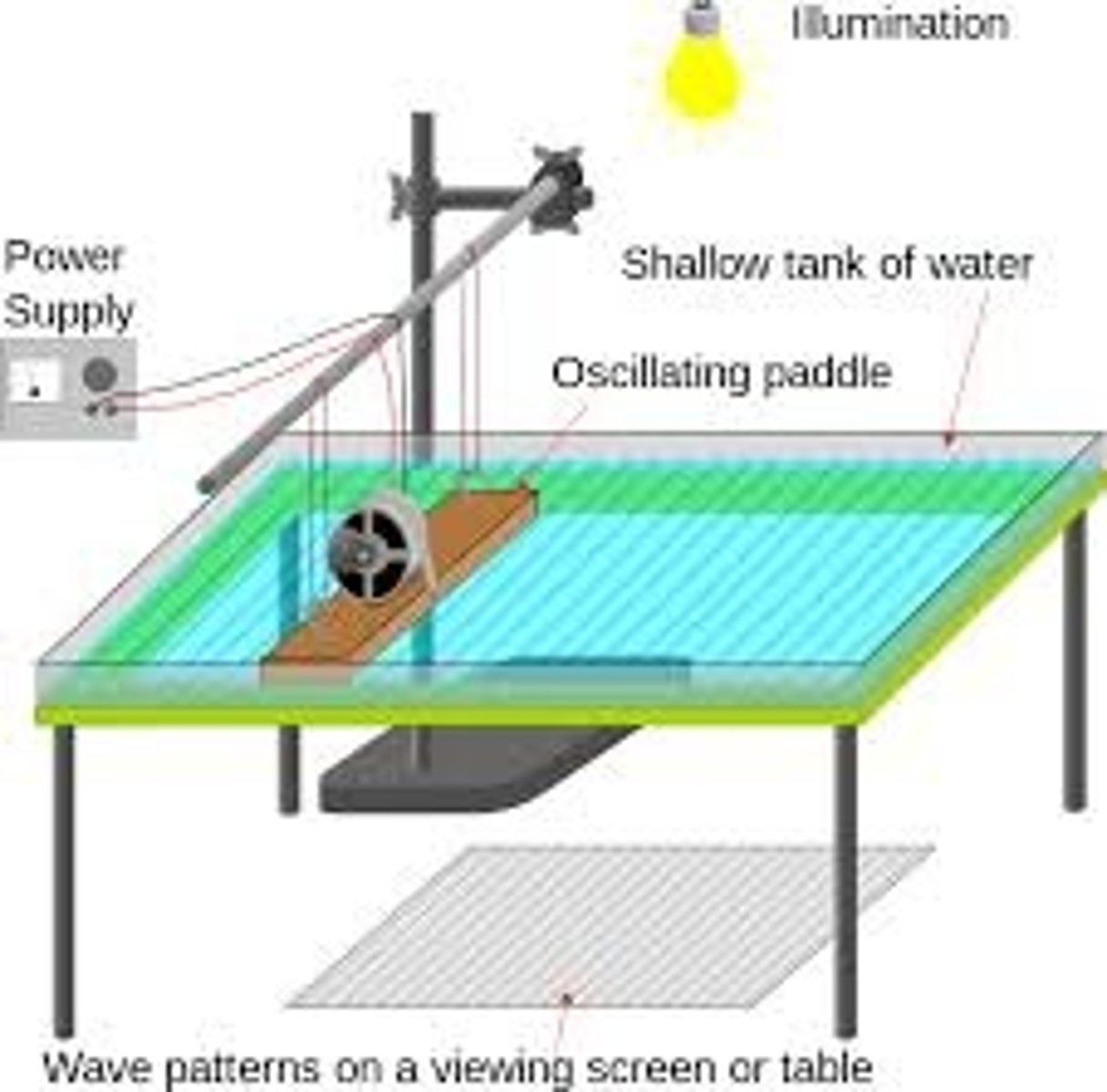 <p>1) Using a signal generator attached to the dipper of a ripple tank, you can create waves at a certain frequency.</p><p>2)Use a strobe light to see wave crests on the screen</p><p>3)Increase the frequency until the wave pattern on the screen appears to have stops</p><p>-this happens when the frequency of the strobe light is equal to the frequency of the waves</p><p>4) Measure the distance between shadows lines that are 10 wavelengths apart then divide by 10 to find average wavelength.</p><p>Use formula to find wave speed</p>
