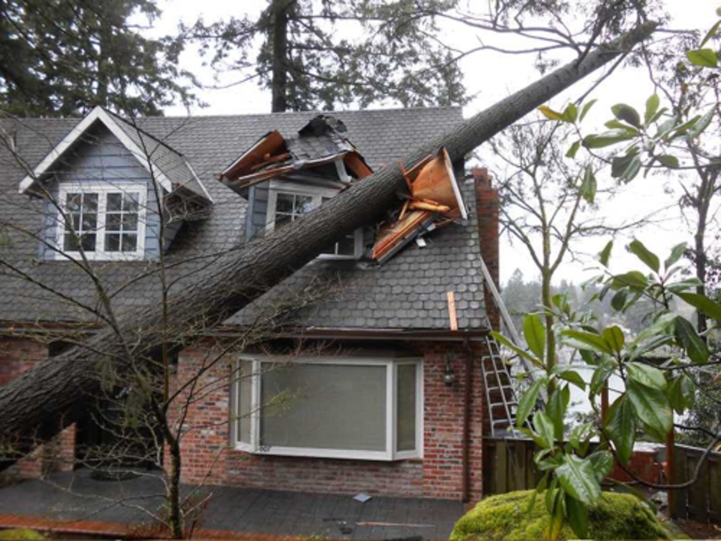 <p>thiệt hại</p>