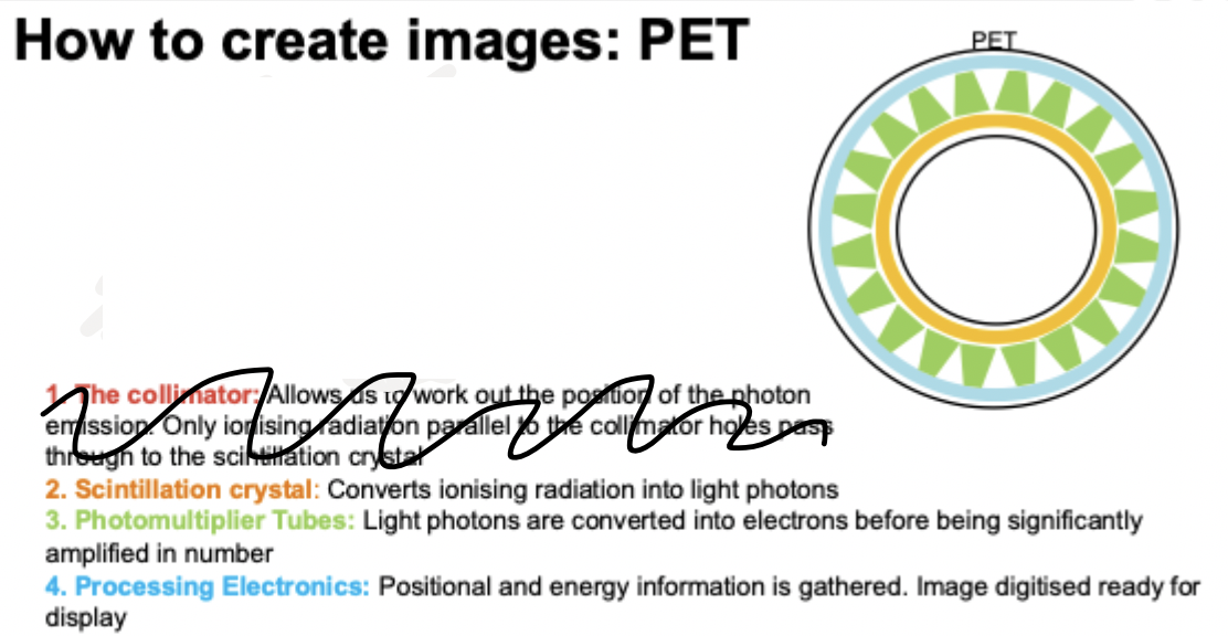 <p>NOTE : PET USES SAME COMPONENTS AS GAMMA CAMERA BUT ARRANGED DIFFERENTLY</p><p></p><p></p>
