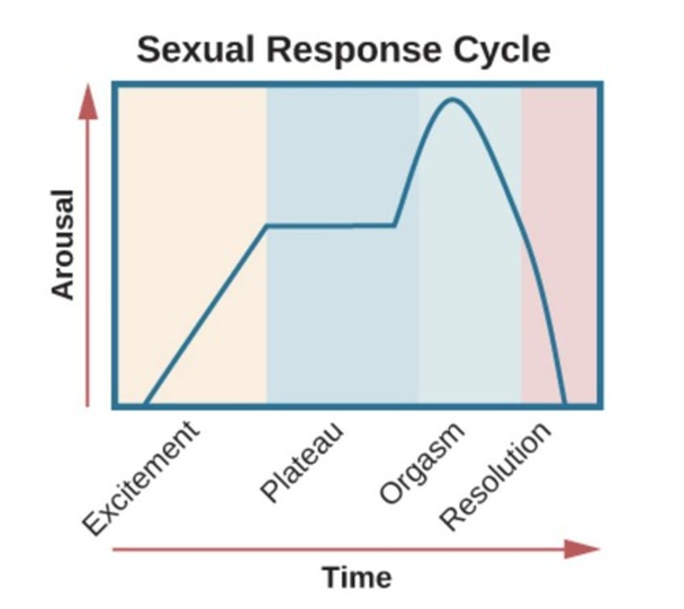 <p>Masters &amp; Johnson's framework for sexual response phases.</p>
