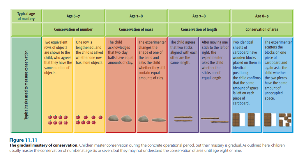 * beginning - development of mental operations
* age 7-11
* children can perform operations only on images of tangible objects and actual events
* masters reversibility and decentration - leads to decline in egocentrism & gradual mastery of conservation as it applies to liquid, mass, number, volume, area, and length
* develop variety of new problem-solving capacities

  \
