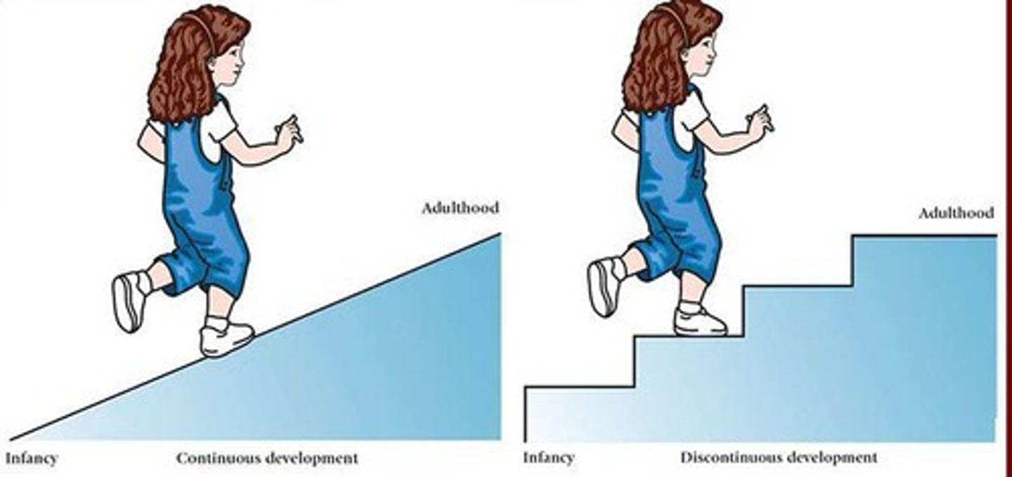 <p>Piaget argued for qualitative stage shifts (staircase), while Vygotsky emphasized continuous growth through guided participation.</p>