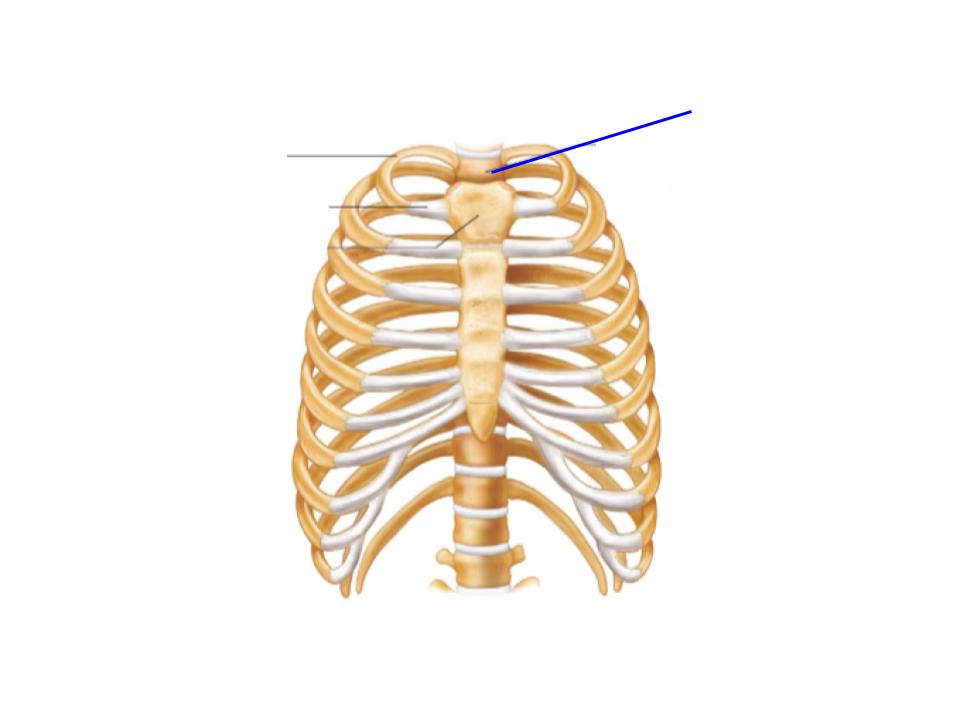 <p>What is this image pointing at? </p>