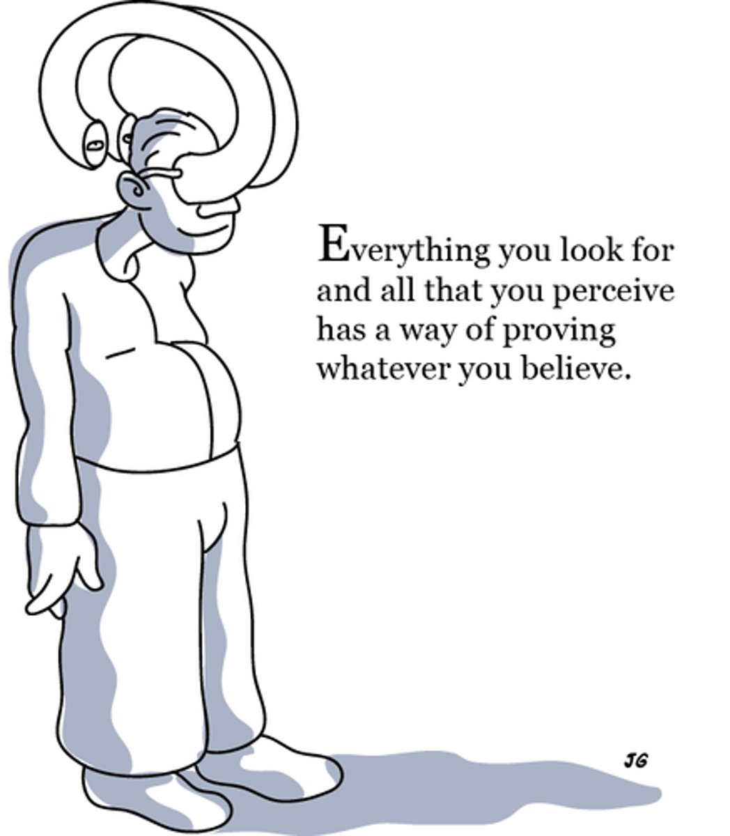 <p>a tendency to search for information that supports one's preconceptions and to ignore or distort contradictory evidence</p>