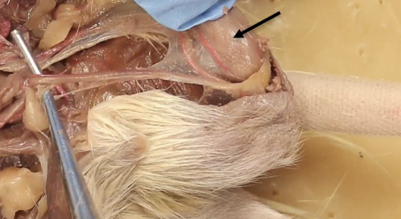 <p>What is this?</p>