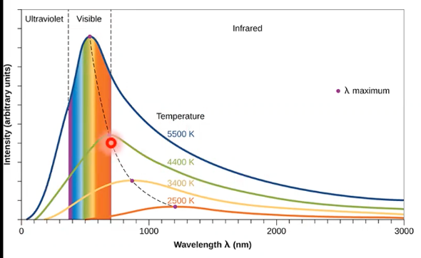 <p>same shape curve, shorter</p>