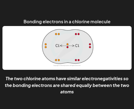 <p>nonpolar covalent bond </p>