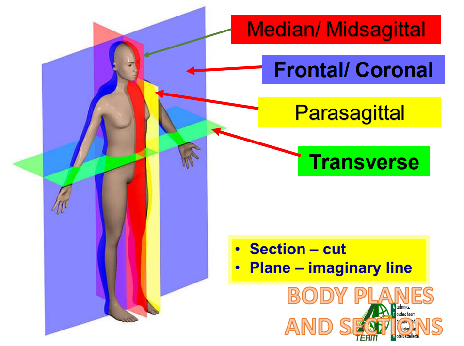 Just review this lol