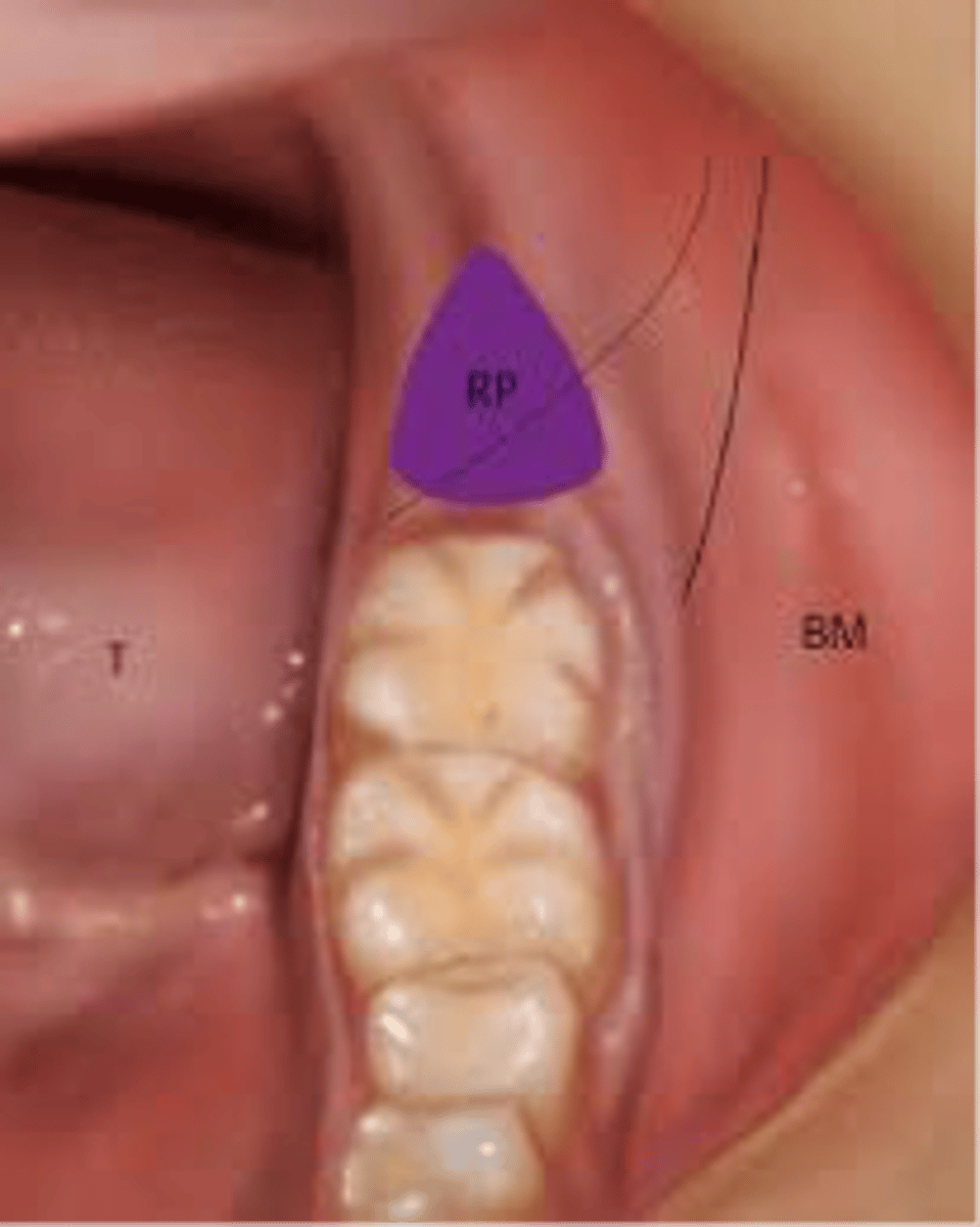 <p>What is purple highlighted?</p>