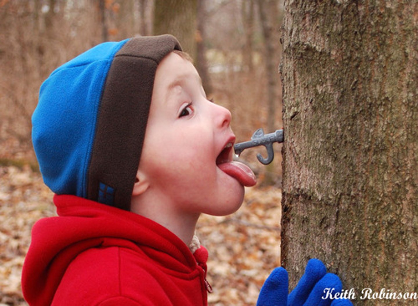<p>To Taste / Savour / Enjoy</p>