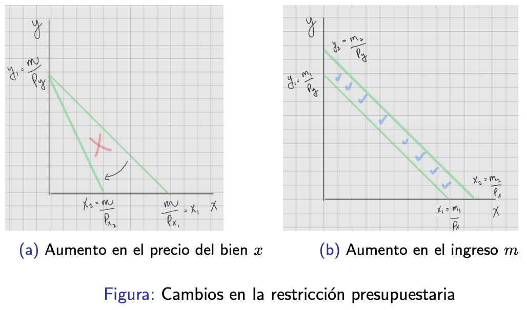 <p>Conjunto de canastas que el individuo puede comprar utilizando todo su dinero a los precios dados. Es la limitante principal sobre la elección del consumidor.</p><p>$$p_x * x + p_y * y = m$$</p>