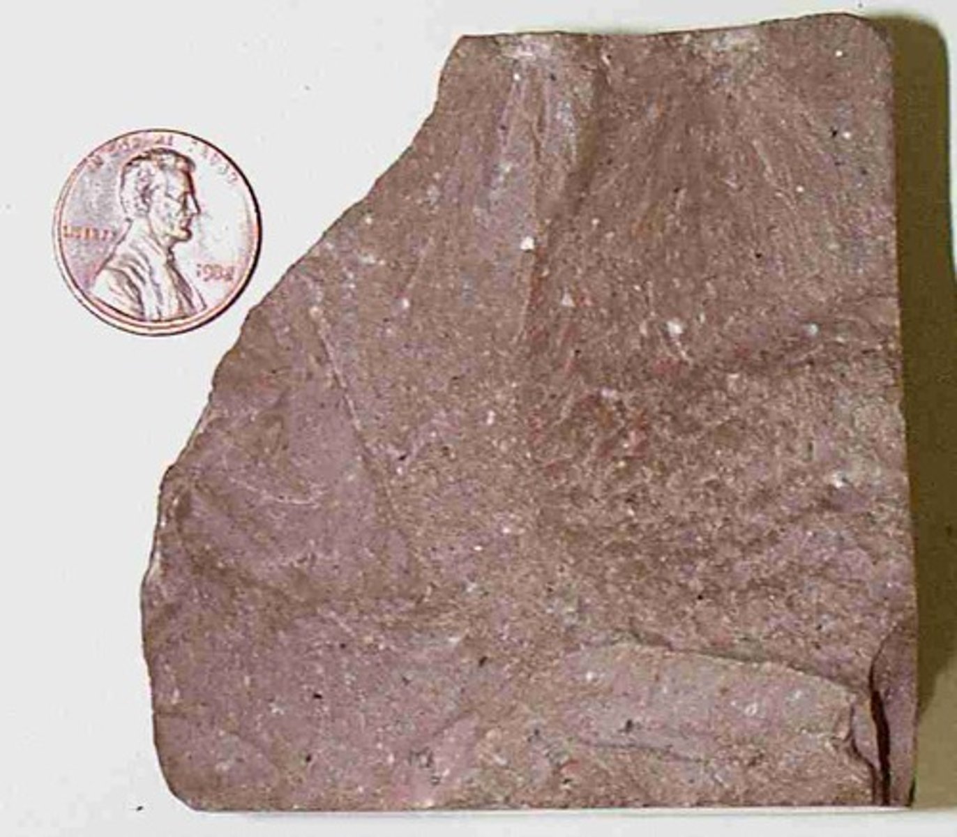 <p>- Igneous rock<br>- Felsic<br>- Fine-grained crystalline<br>- Fast cooling rate<br>- Came from an extrusive, explosive eruption<br>- Continental setting</p>