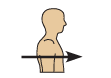<p>Anterior/ Ventral</p>