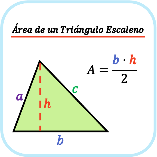 <p>b x h / 2</p>